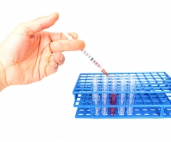 curso analisis bioquimicos essscan curso analisis bioquimicos essscan