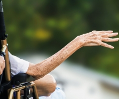 curso trastornos neurodegenerativos ancianos essscan curso trastornos neurodegenerativos ancianos essscan