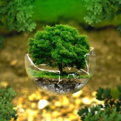 Técnicos Superiores en Salud Ambiental