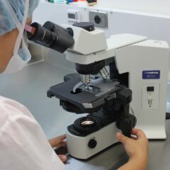 Técnicos Superiores en Laboratorio Clínico y Biomédico