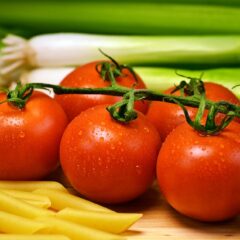 Técnicos Superiores en Dietética