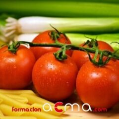 Guia de Alimentación Infantil
