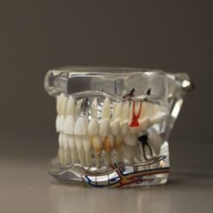 Técnicos Superiores en Prótesis Dentales