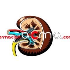 Curso online expertos