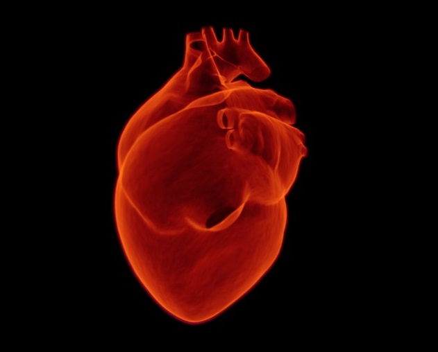 Título de Experto Universitario en Fundamentos, diagnóstico y tratamiento de la rehabilitación cardíaca (EN4)