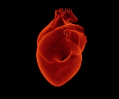 enfermedades cardiacas enfermedades cardiacas