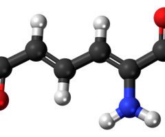 metabolismo-836134__340 metabolismo-836134__340