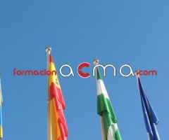 Curso Técnicos en Cuidados Auxiliares de Enfermería Curso gratuito baremables oposiciones puntuables categoría Formación de gestión y servicios