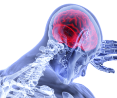 brain-3168269__340 brain-3168269__340