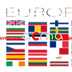 Curso baremo VEC online
