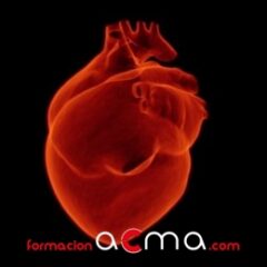 Atención en alteraciones del sistema cardiovascular