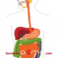 Manejo en trastornos endocrinos