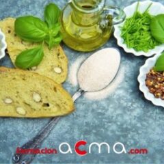Metabolismo y nutrición