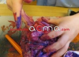 Curso gratuito baremables oposiciones puntuables categoría Profesorado