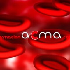 Curso gratis VEC SAS