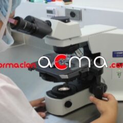 Curso formación Andalucía
