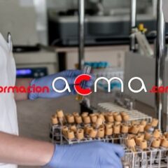 Curso formación baremo