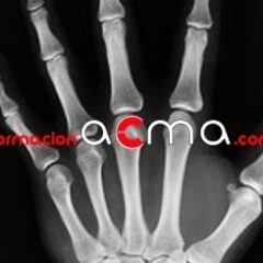 Curso formación servicio