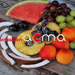 Curso baremo VEC SAS Méritos