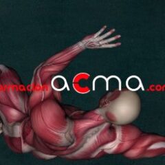 Curso actividades formativas gratis
