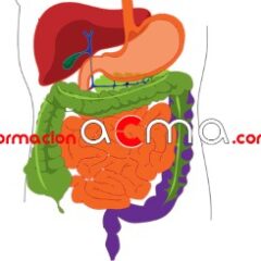 Curso actividades formativas gratis