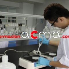 Curso formación puntuable
