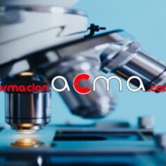 Curso bolsa única VEC