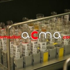 Curso Andalucía baremable
