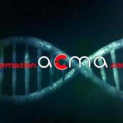 Curso acreditado online