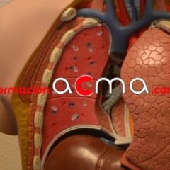Curso VEC SAS Autobaremo