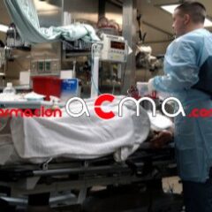 Curso online baremable
