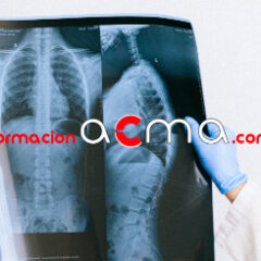 curso baremable puntuable