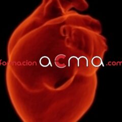 Curso gratuito baremables oposiciones puntuables categoría Máster