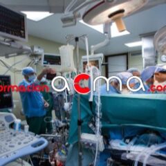 Curso expertos enfermería