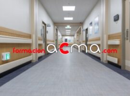 Curso puntuable baremo SAS