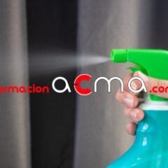 Curso servicio bolsa única