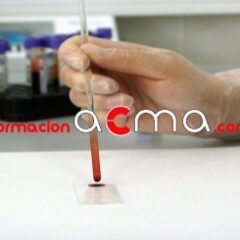 Curso actividades formativos título