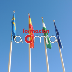 Curso acreditado baremable