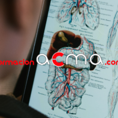 Formación ACMA curso tcae enfermería anatomía