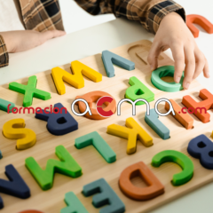 curso profesorado maestro