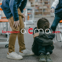 curso profesorado maestro