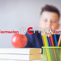 curso profesorado maestro