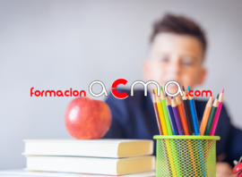curso profesorado maestro