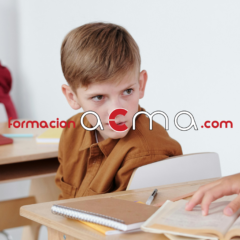 curso profesorado maestro