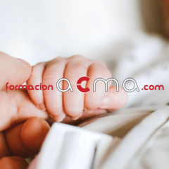 curso tcae cfc comisión de formación continuada bolsa sas servicio andaluz de salud oposiciones