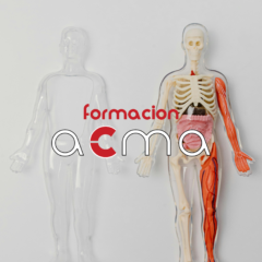 curso tcae cfc comisión de formación continuada bolsa sas servicio andaluz de salud oposiciones