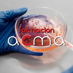 cursos con créditos cfc tcae enfermería laboratorio
