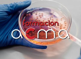cursos con créditos cfc tcae enfermería laboratorio