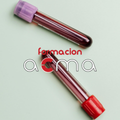 cursos formacion acma enfermedades hematológicas