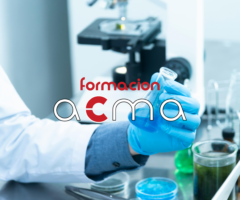 cursos formación bolsa oposiciones sas baremo